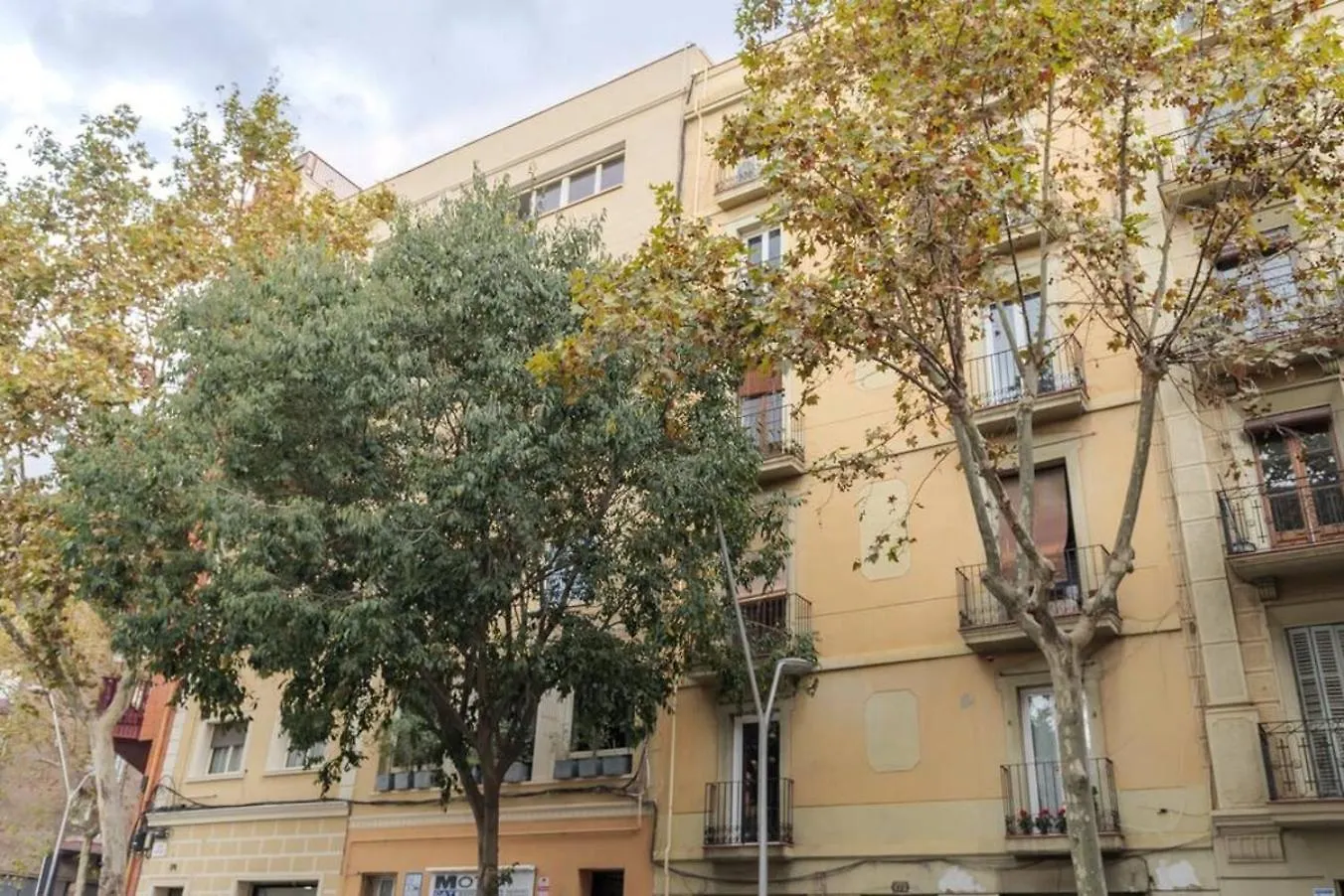 Live Like A Local In Eixample Apartment Barcelona